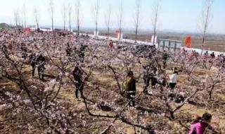 运城盐湖区地图 运城盐湖区地图