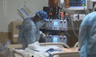 2021年全球死一半人 2021年全球死一半人